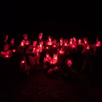 twilight rainforest nature walk