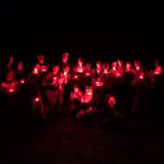 twilight rainforest nature walk