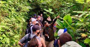 guide and tourist walking through forest