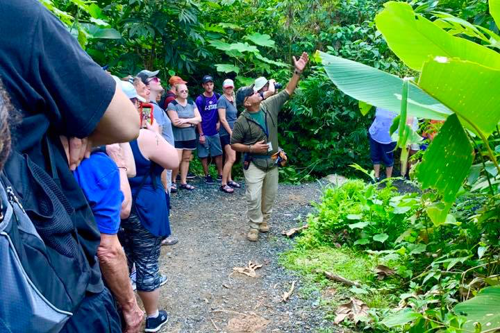 guide and guests in the middle of the forest