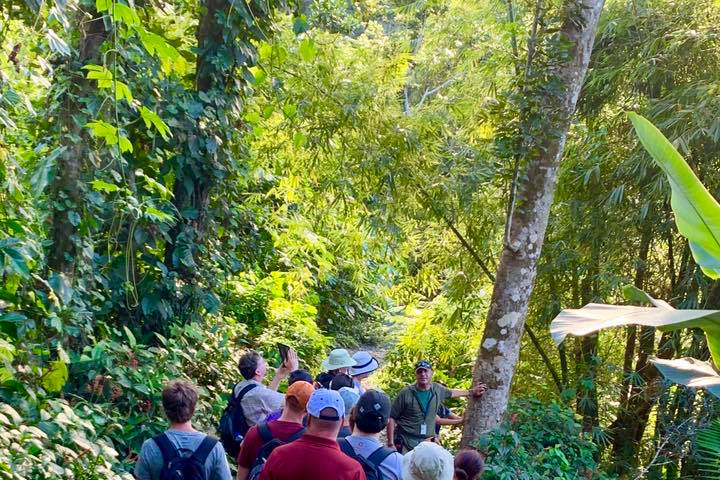 people walking through a tour in the forest